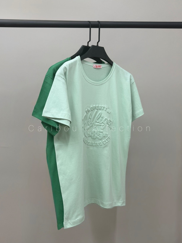 تیشرت بیسیک